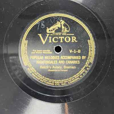 Popular Melodies accopanied by nightingales and canaries