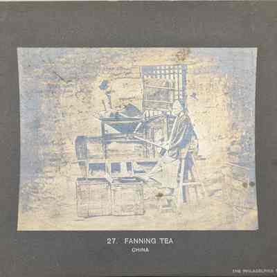 Fanning Tea