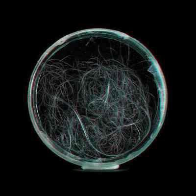 Spider silk sample from BioSteel™ goat