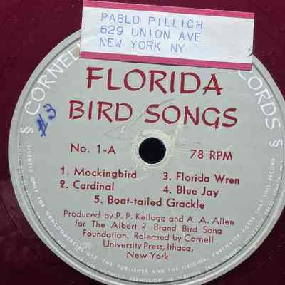 Florida Bird Songs