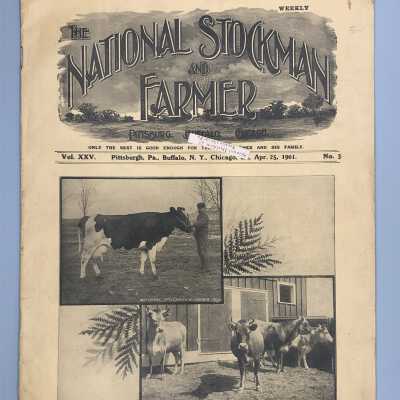 The National Stockman and Farmer - Volume 25, Number 3