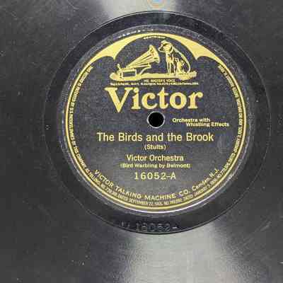 Birds and the Brook