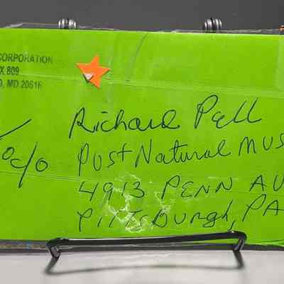 Letter from Yolanda Signorelli to Rich Pell