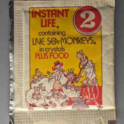 Step 2 : Instant Life containing Live Sea-Monkeys in Crystals Plus Food