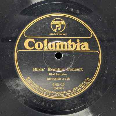 Bird's Evening Concert