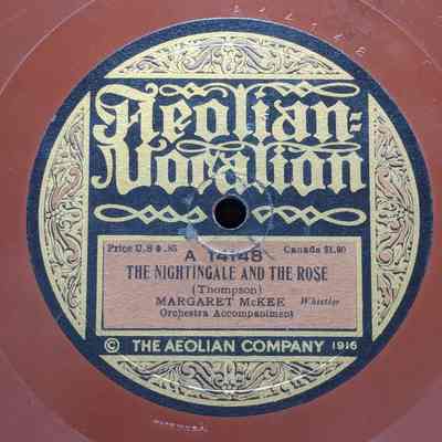 The nightingale and the rose