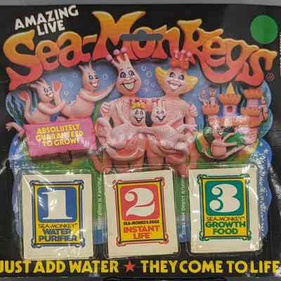 Sea Monkey Step packets in packaging