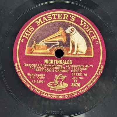 nightingales, actually recorded in beatrice harrison's garden oxted