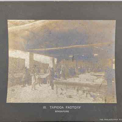 Tapioca Factory