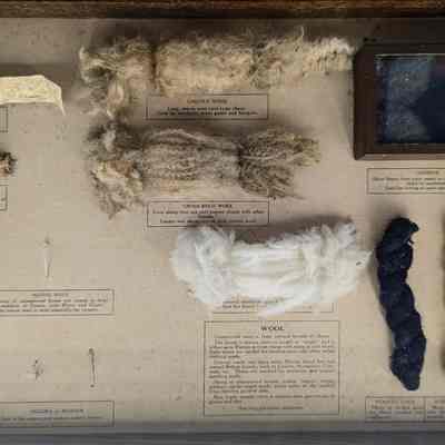Drawer of Wool Specimen