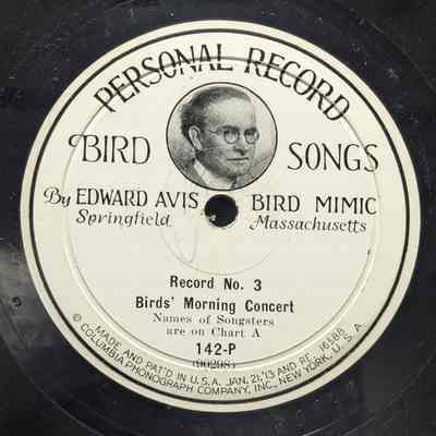 Bird's Morning Concert