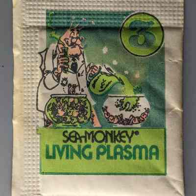 Step 3: Sea Monkey Living Plasma