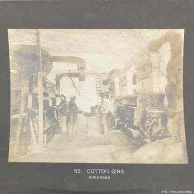 Cotton Gins