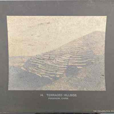 Terraced Hillside
