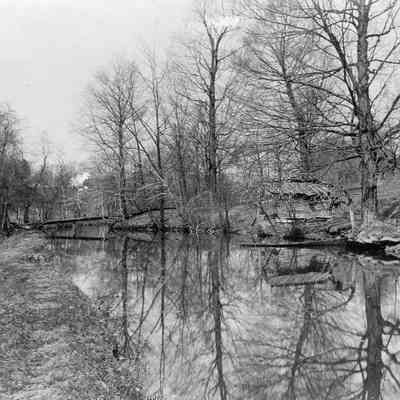 Shack By Creek