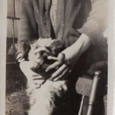 Dog Held on Chair