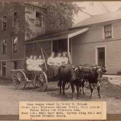 Oxen Wagon