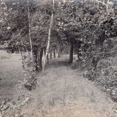 Lovers Lane at Hamilton Pond