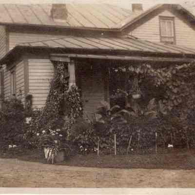 Roots Home