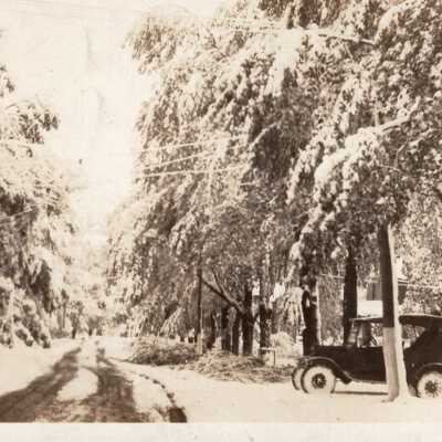 Snowstorm