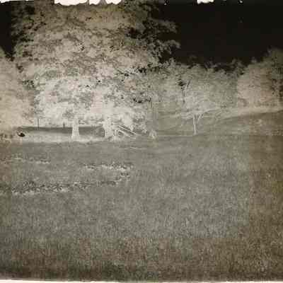 Field