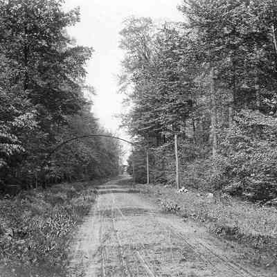 Forest Road