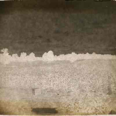 Crops