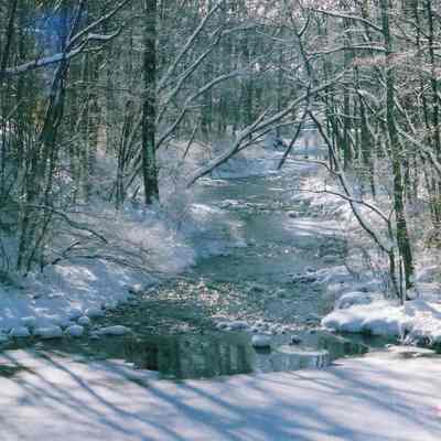 Winter Creek, 2010