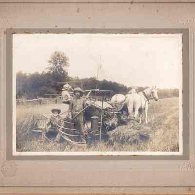 McCurdy Family Harvester and Cradle