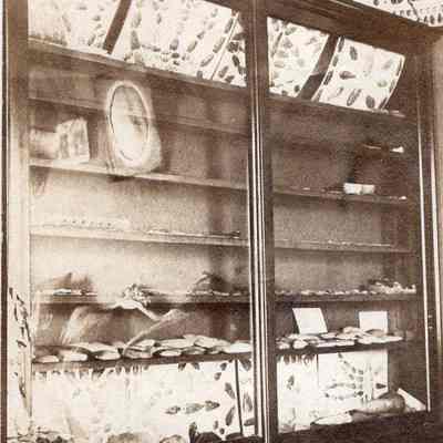 Indian Relics