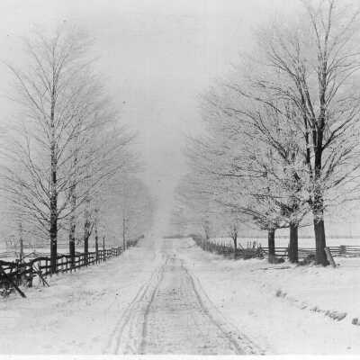State Street in Winter