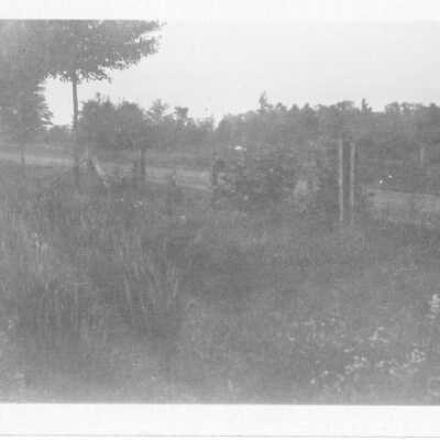 Field by Road