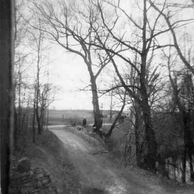 Wooded Lot