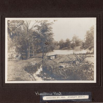 Hamilton's Pond