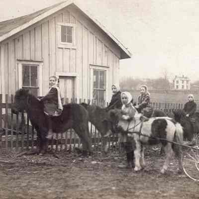Children on Ponies