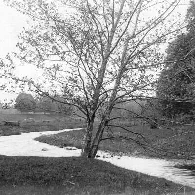 Stratton Creek
