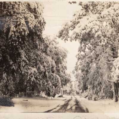 Snowy Road