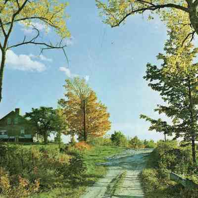 Country Splendor