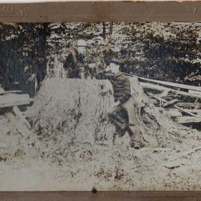 Men by Cut Tree Stump, 1901