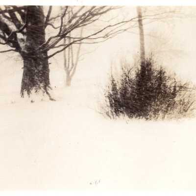 Snowy Yard