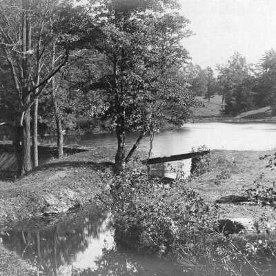 Hamilton Pond