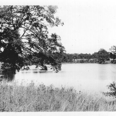 Lakelands