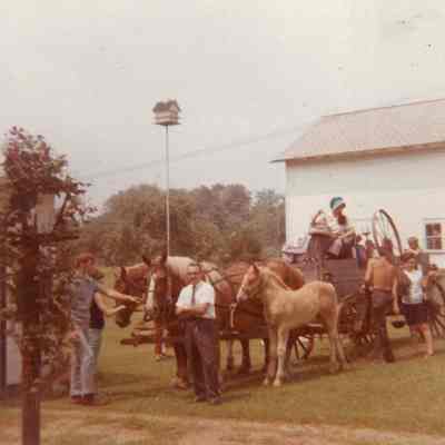 Group Of People With Team Of Horses