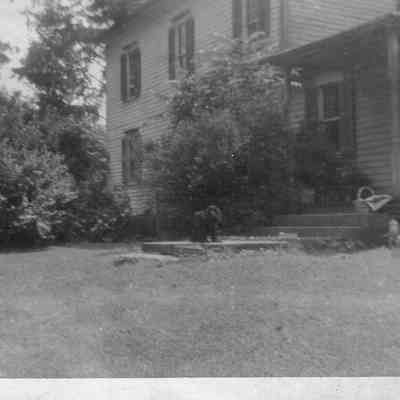 Dog On Steps, 1956
