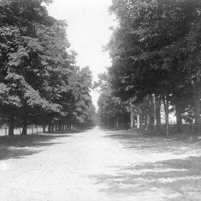 State Street, Kinsman