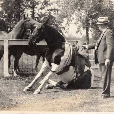 Lee Hanson with Horses