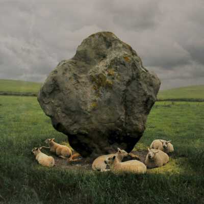 Sheep and Standing Stone