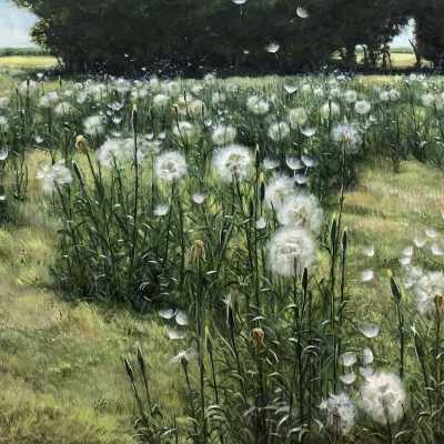 Summer Breeze