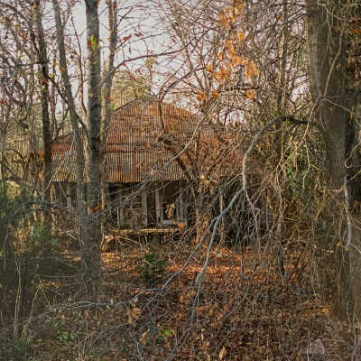 Overgrown House, along Hwy 757, near Starrville, Texas, January 15, 2006