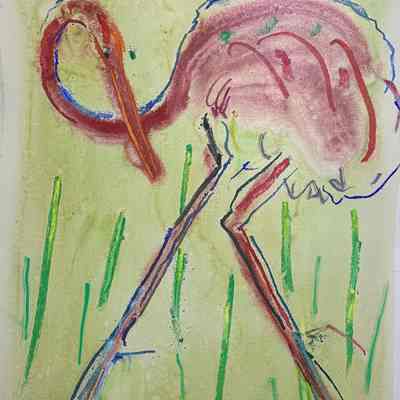 Great Pink Crane